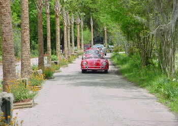 Porsche 356  (2427)