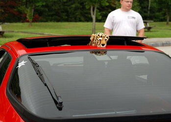 2009 Tail of Dragon 164