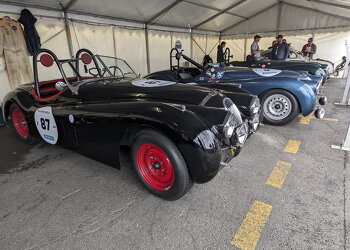 PXL 20230701 105929691