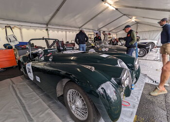 PXL 20230701 110257155