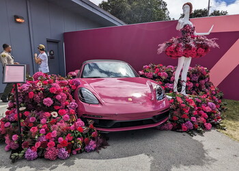 original ea80212d-168f-4448-a8de-226e41e464fa PXL 20230929 210022690