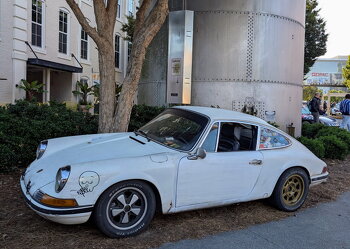 PXL 20251004 123241435