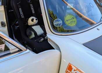 PXL 20251004 134943863