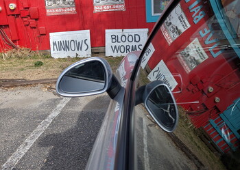 PXL 20260117 175416376