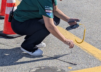 PXL 20260124 194300058